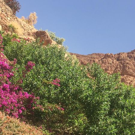 Auberge Le Festival Todra Gorge Aït Baha Extérieur photo