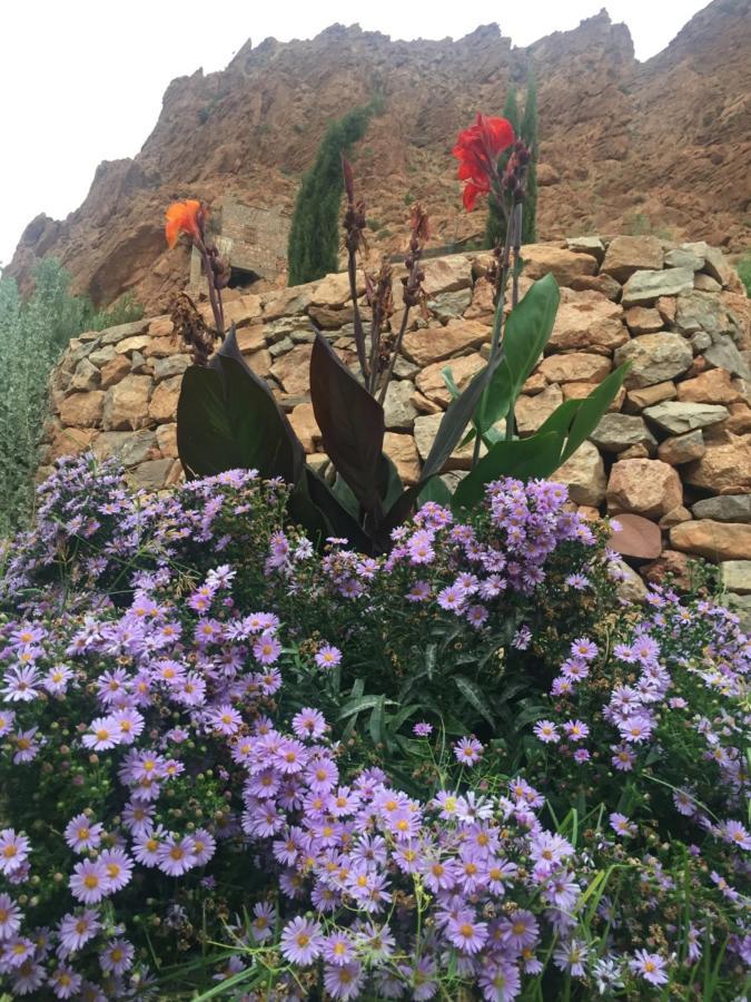 Auberge Le Festival Todra Gorge Aït Baha Extérieur photo
