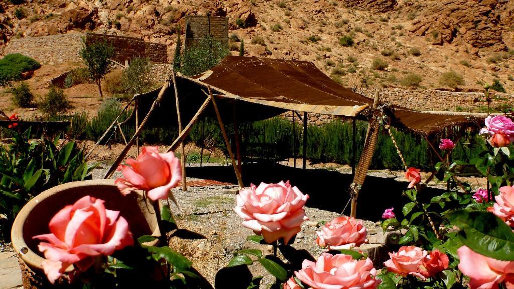 Auberge Le Festival Todra Gorge Aït Baha Extérieur photo